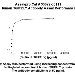 Human TGIF2LY Antibody