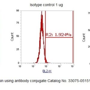 Human Calretinin AssayLite Antibody (RPE Conjugate)
