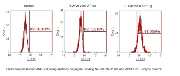 Human Calretinin AssayLite Antibody (APC Conjugate) - Image 2