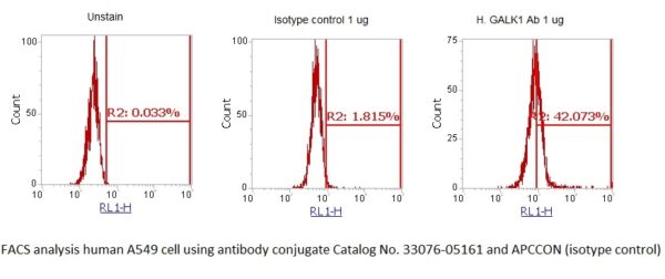 Human GALK1 AssayLite Antibody (APC Conjugate)