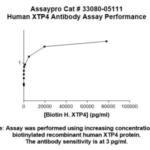 Human XTP4 Antibody