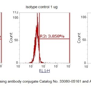 Human XTP4 AssayLite Antibody (APC Conjugate)