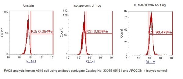Human MAP1LC3A AssayLite Antibody (APC Conjugate) - Image 2