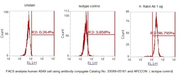 Human RAB4 AssayLite Antibody (APC Conjugate) - Image 2
