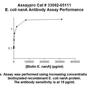 E. coli nanA Antibody