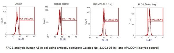 Human CDC26 / APC12 AssayLite Antibody (APC Conjugate) - Image 2
