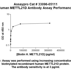 Human METTL21D Antibody