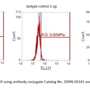 Human METTL21D AssayLite Antibody (APC Conjugate)