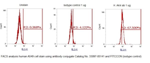 Human Adenylate Kinase 4 (AK4) AssayLite Antibody (FITC Conjugate)