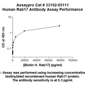 Human RAB17 Antibody