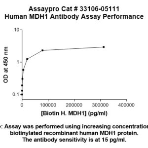 Human MDH1 Antibody