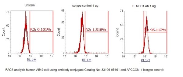 Human MDH1 AssayLite Antibody (APC Conjugate) - Image 2
