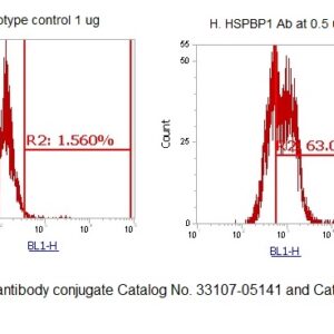 Human HSPBP1 AssayLite Antibody (FITC Conjugate)