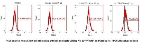 Human HSPBP1 AssayLite Antibody (RPE Conjugate)