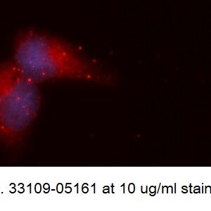 Human Shwachman-Bodian-Diamond Syndrome AssayLite Antibody (APC Conjugate)