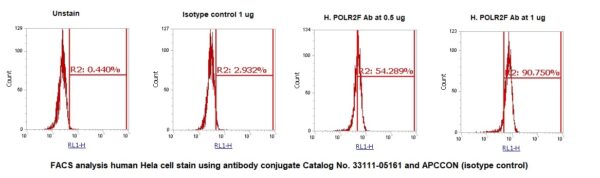 Human POLR2F AssayLite Antibody (APC Conjugate) - Image 2