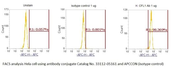 Human Cofilin 1 (CFL1) AssayLite Antibody (APC Conjugate) - Image 2