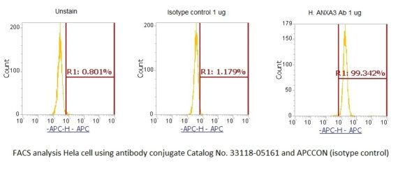 Human Annexin A3  (ANXA3) AssayLite Antibody (APC Conjugate) - Image 2