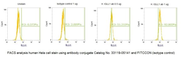Human IGLL1 AssayLite Antibody (FITC Conjugate)