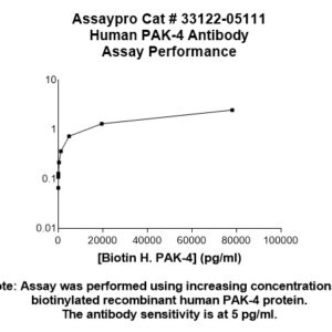Human p21-Activated Kinase 4 (PAK-4) Antibody