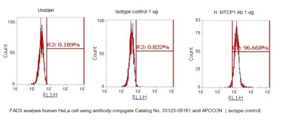 Human MTCP1 AssayLite Antibody (APC Conjugate) - Image 2