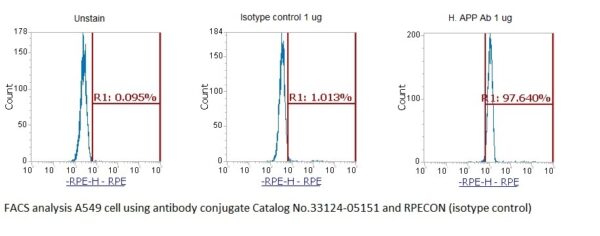 Human Amyloid Precursor Protein (APP) AssayLite Antibody (RPE Conjugate)