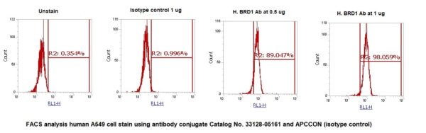 Human BRD1 AssayLite Antibody (APC Conjugate) - Image 2