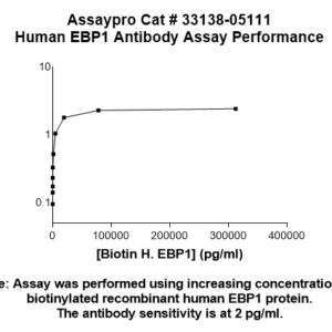 Human EBP1 Antibody