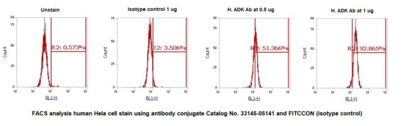 Human ADK AssayLite Antibody (FITC Conjugate) - Image 2