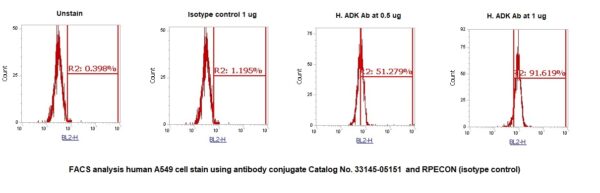 Human ADK AssayLite Antibody (RPE Conjugate) - Image 2