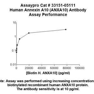 Human Annexin A10  (ANXA10) Antibody (Biotin Conjugate)