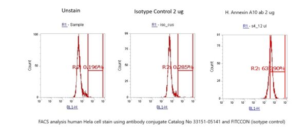 Human Annexin A10  (ANXA10) AssayLite Antibody (FITC Conjugate)