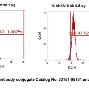 Human Annexin A10  (ANXA10) Antibody (RPE Conjugate)