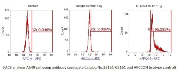 Human Annexin A10  (ANXA10) AssayLite Antibody (APC Conjugate) - Image 2