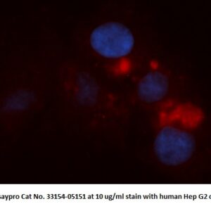 Human HADHSC AssayLite Antibody (RPE Conjugate)