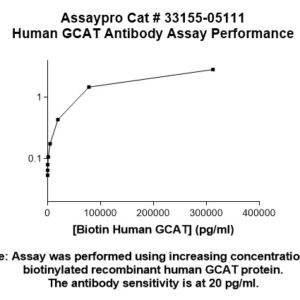 Human Glycine Acetyltransferase (GCAT) Antibody (Biotin Conjugate)
