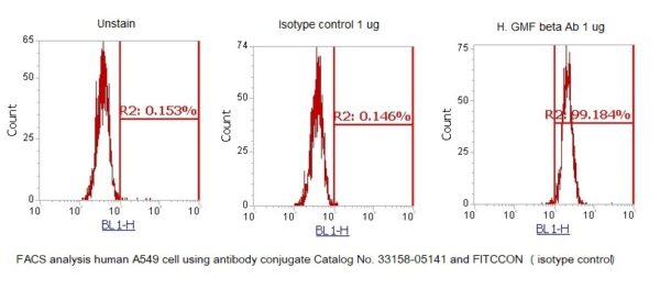 Human GMF beta AssayLite Antibody (FITC Conjugate) - Image 2