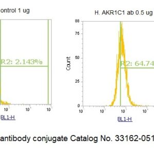 Human AKR1C1 AssayLite Antibody (FITC Conjugate)