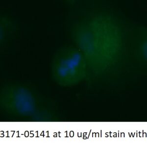 Human HB-EGF AssayLite Antibody (FITC Conjugate)