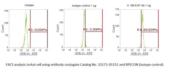 Human HB-EGF AssayLite Antibody (RPE Conjugate) - Image 2