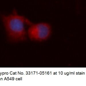 Human HB-EGF AssayLite Antibody (APC Conjugate)