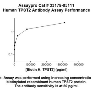 Human Tyrosylprotein Sulfotransferase 2 (TPST-2) Antibody (Biotin Conjugate)