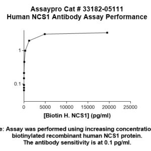 Human NCS1 Antibody