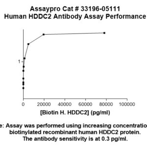Human HDDC2 Antibody