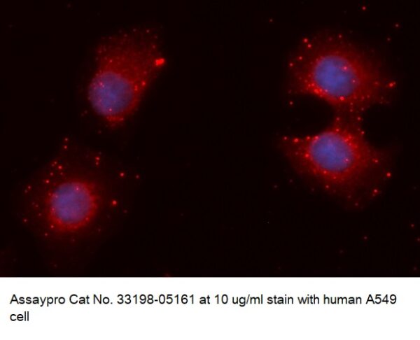 Human TTDA AssayLite Antibody (APC Conjugate)