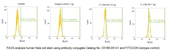Human CSK AssayLite Antibody (FITC Conjugate)