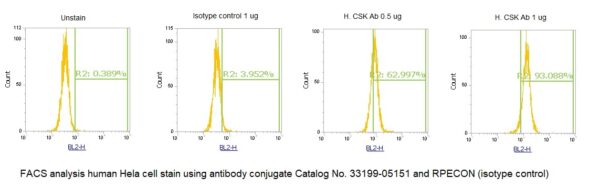 Human CSK AssayLite Antibody (RPE Conjugate) - Image 2