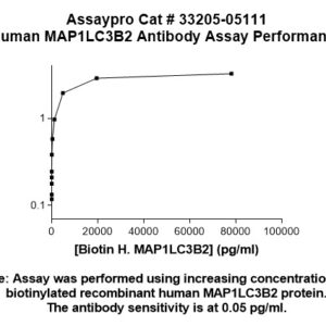 Human MAP1LC3B2 Antibody (Biotin Conjugate)