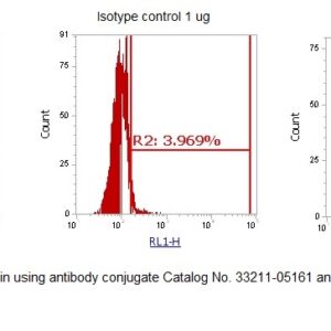 Human Thymidylate Synthase (TS) AssayLite Antibody (APC Conjugate)