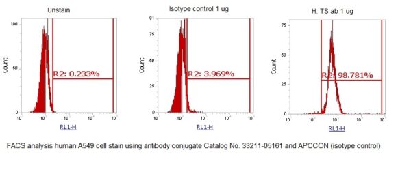 Human Thymidylate Synthase (TS) AssayLite Antibody (APC Conjugate)